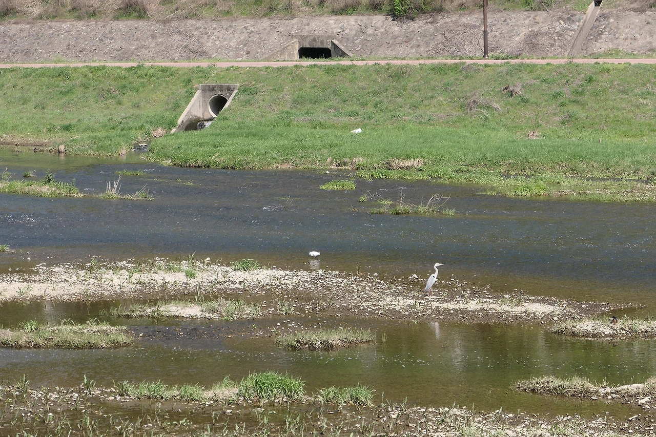 먹집 운집 3.JPG
