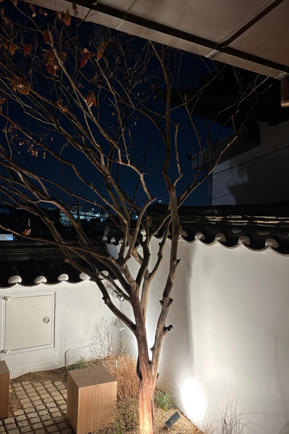 IMG_9064 복사본.JPG