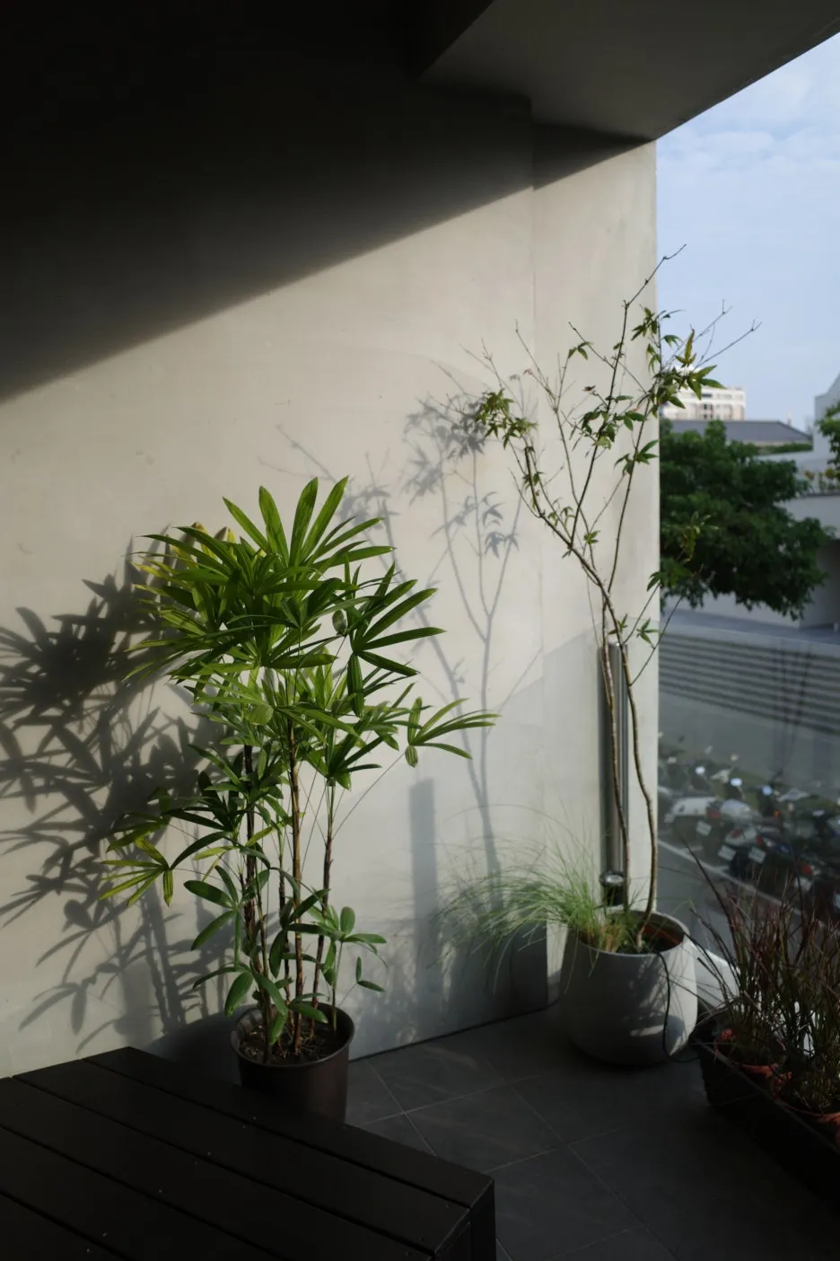 %EC%82%AC%EC%A7%8416-1.JPG?type=w1