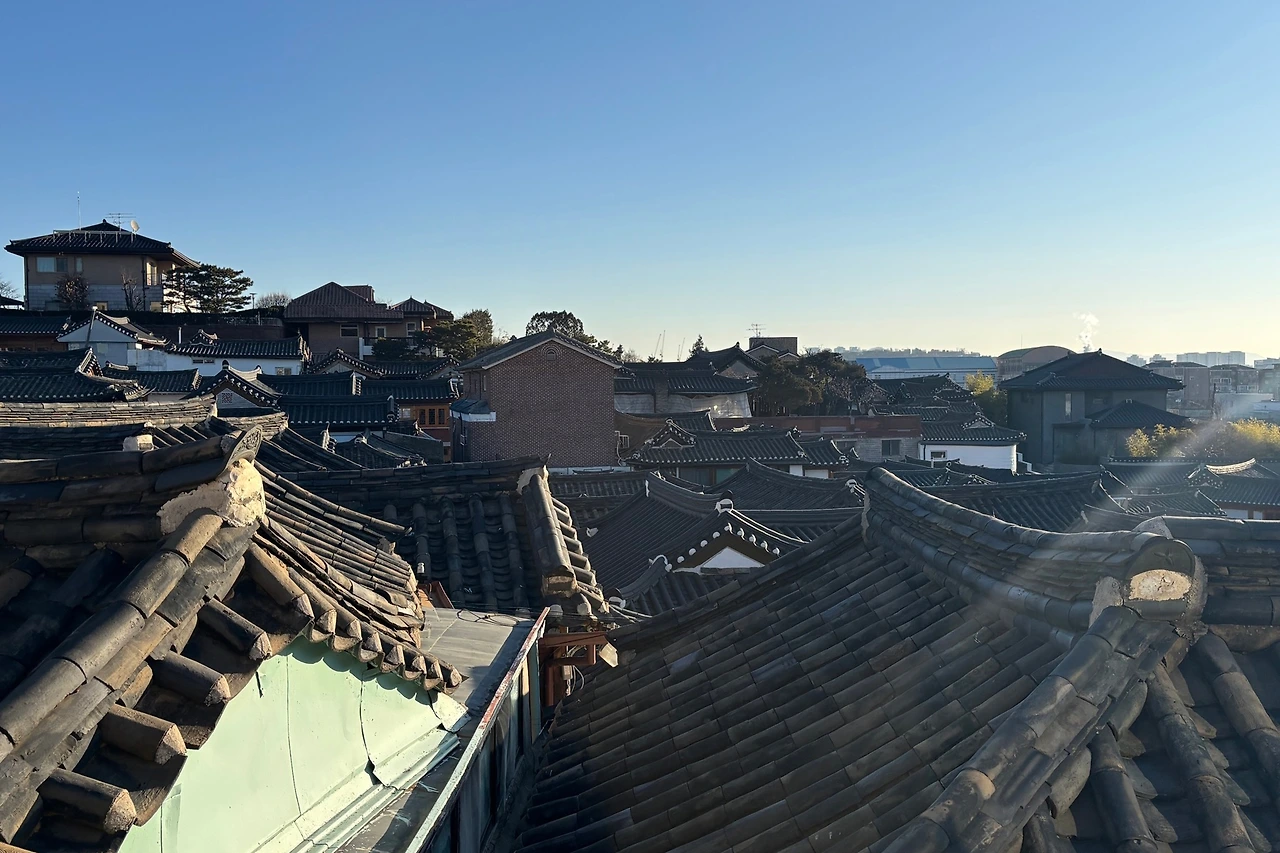 IMG_9146 복사본.JPG