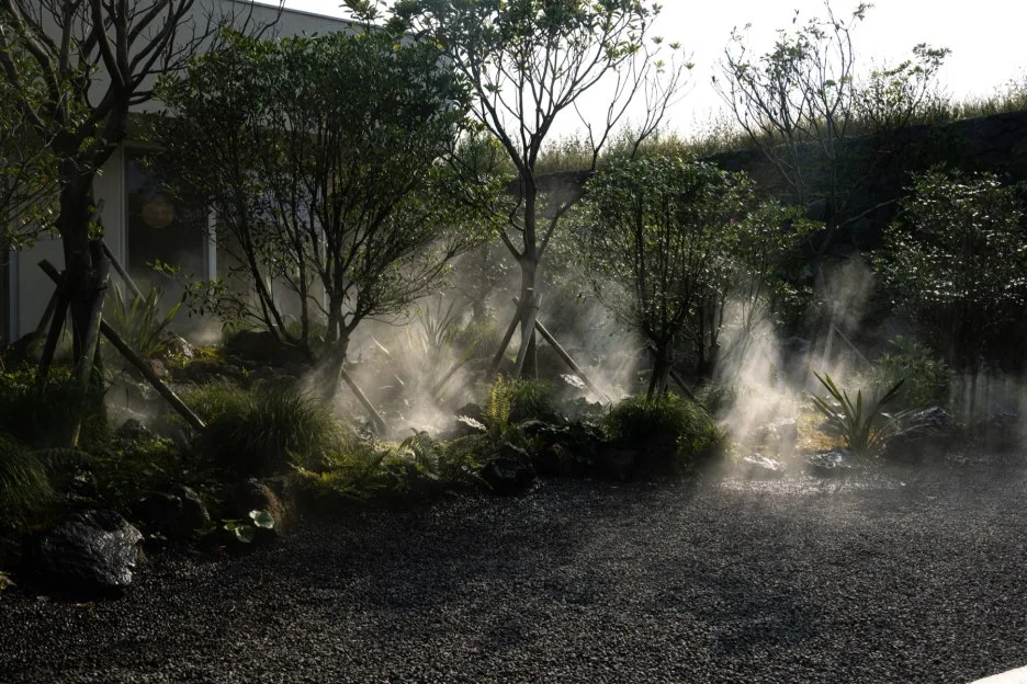 (%EA%B3%A0%EC%84%9C%EC%9A%B0)_%EC%8A%A4%ED%85%8C%EC%9D%B4%ED%8F%B4%EB%A6%AC%EC%98%A4_-_%ED%95%98%EC%9B%94%EB%9D%BC%EC%9E%87_(5)_%EB%B3%B5%EC%82%AC%EB%B3%B8.jpg?type=w1