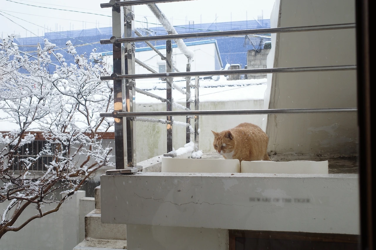 47 복사본.JPG