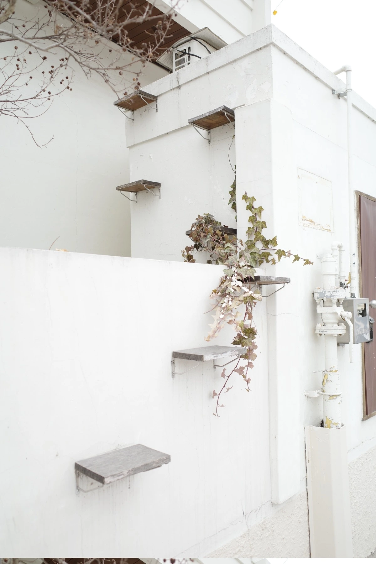 3-1 복사본.JPG