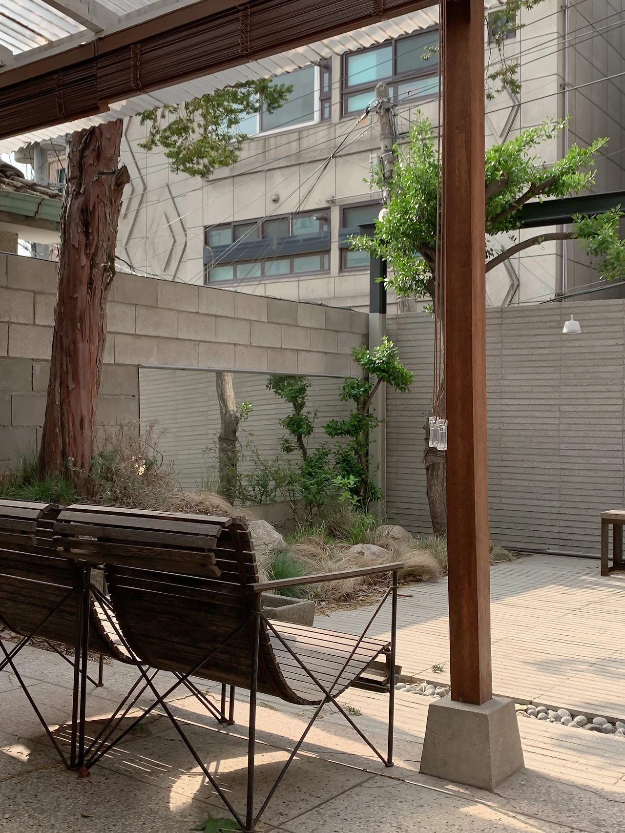 정원 (3).JPG