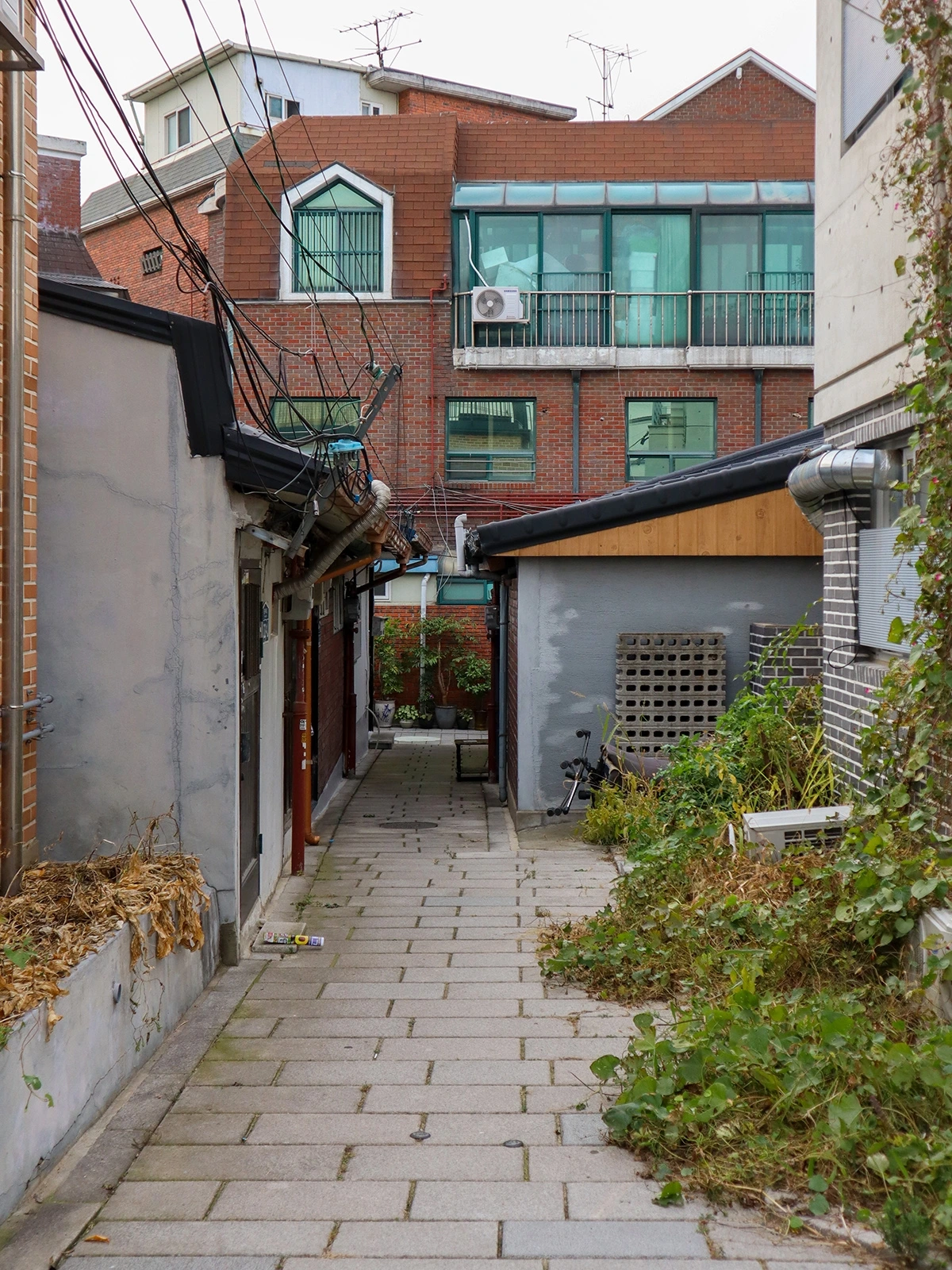 사진 4.JPG