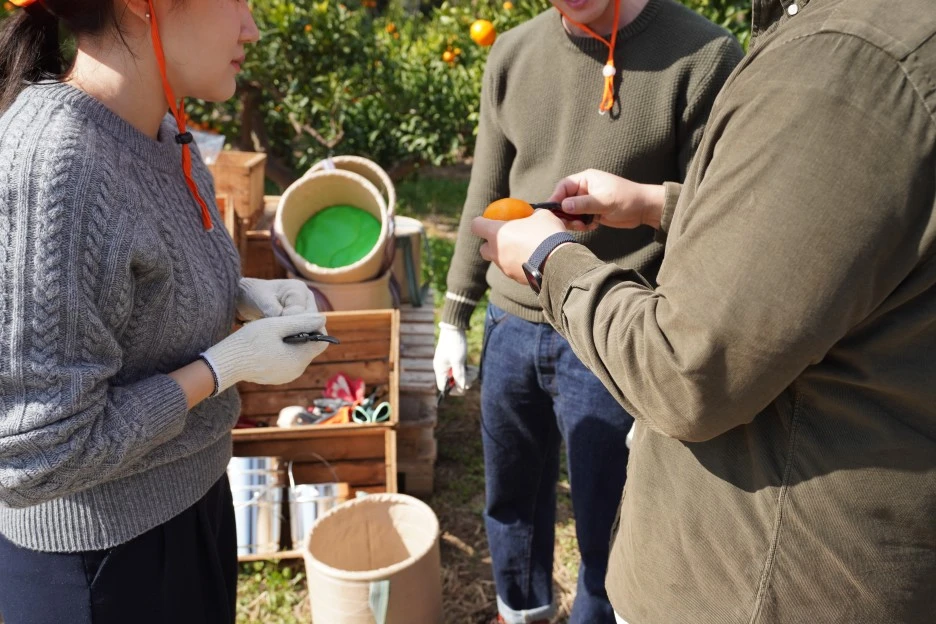 DSC09174.JPG?type=w1