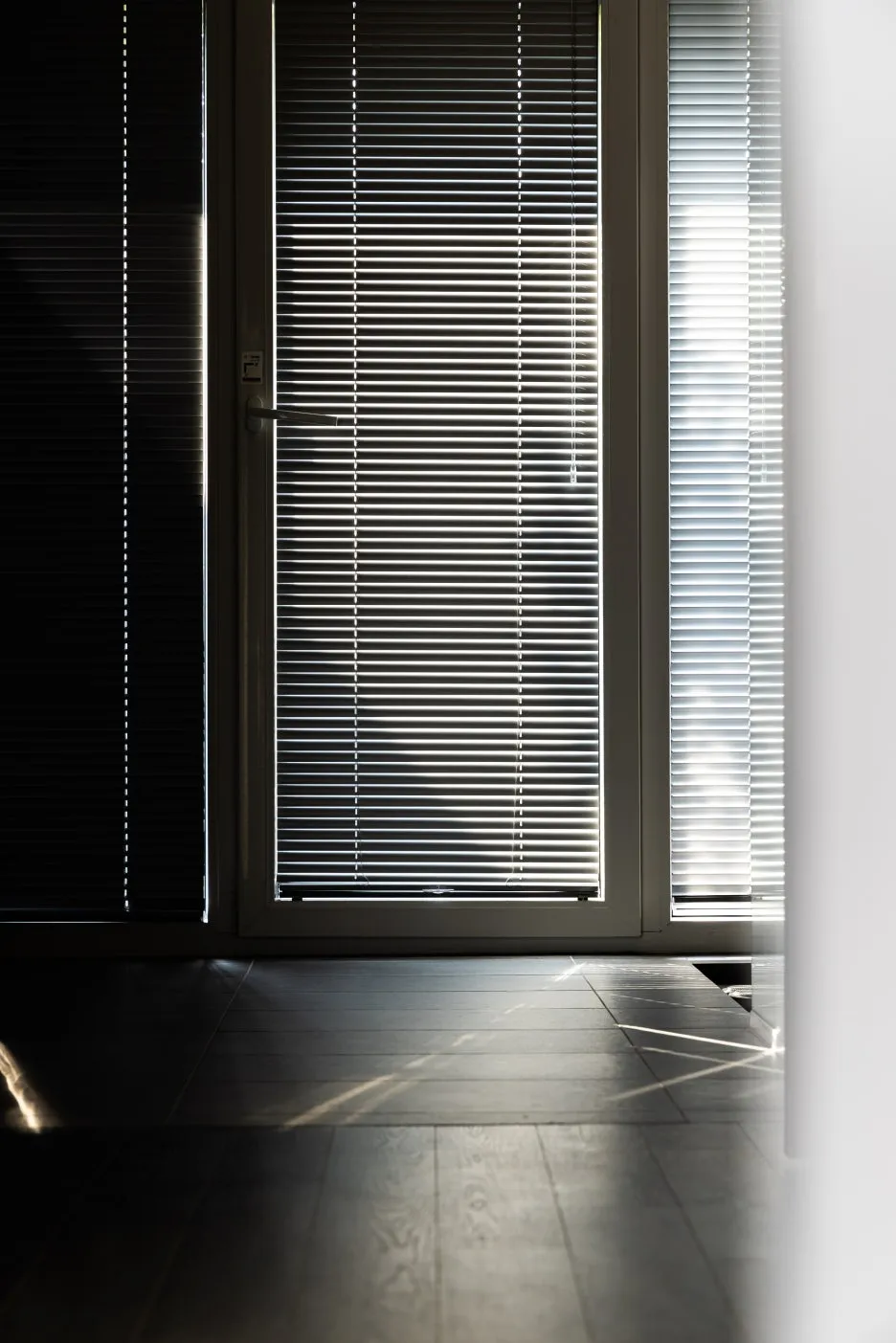 (%EA%B3%A0%EC%84%9C%EC%9A%B0)_%EC%8A%A4%ED%85%8C%EC%9D%B4%ED%8F%B4%EB%A6%AC%EC%98%A4_-_%ED%95%98%EC%9B%94%EB%9D%BC%EC%9E%87,_%EB%9D%BC%EC%9E%87%EB%8F%99_(1).jpg?type=w1