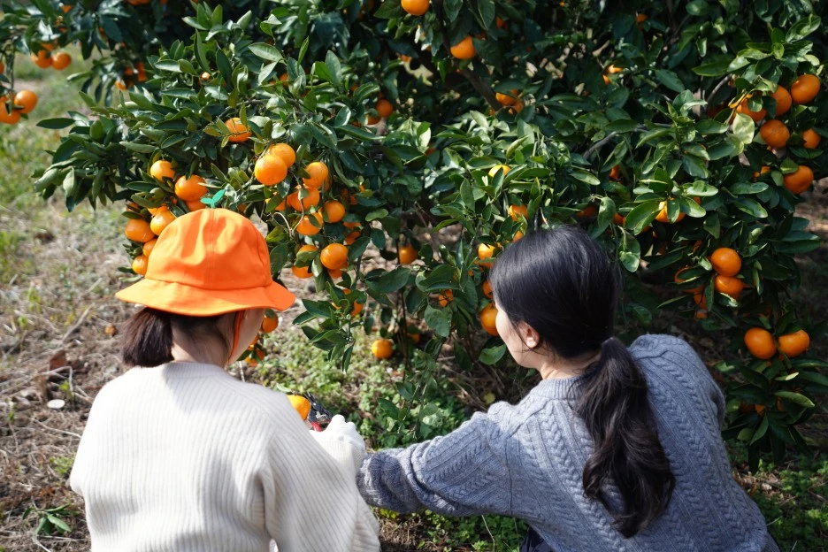 DSC09260.JPG?type=w1