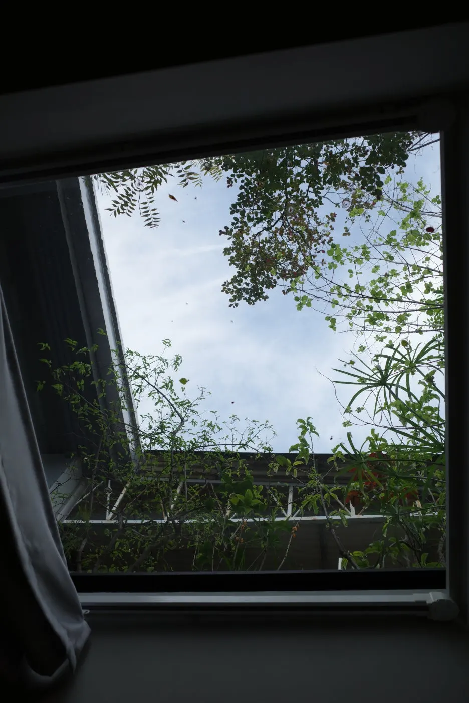 %EC%82%AC%EC%A7%8422-1.JPG?type=w1