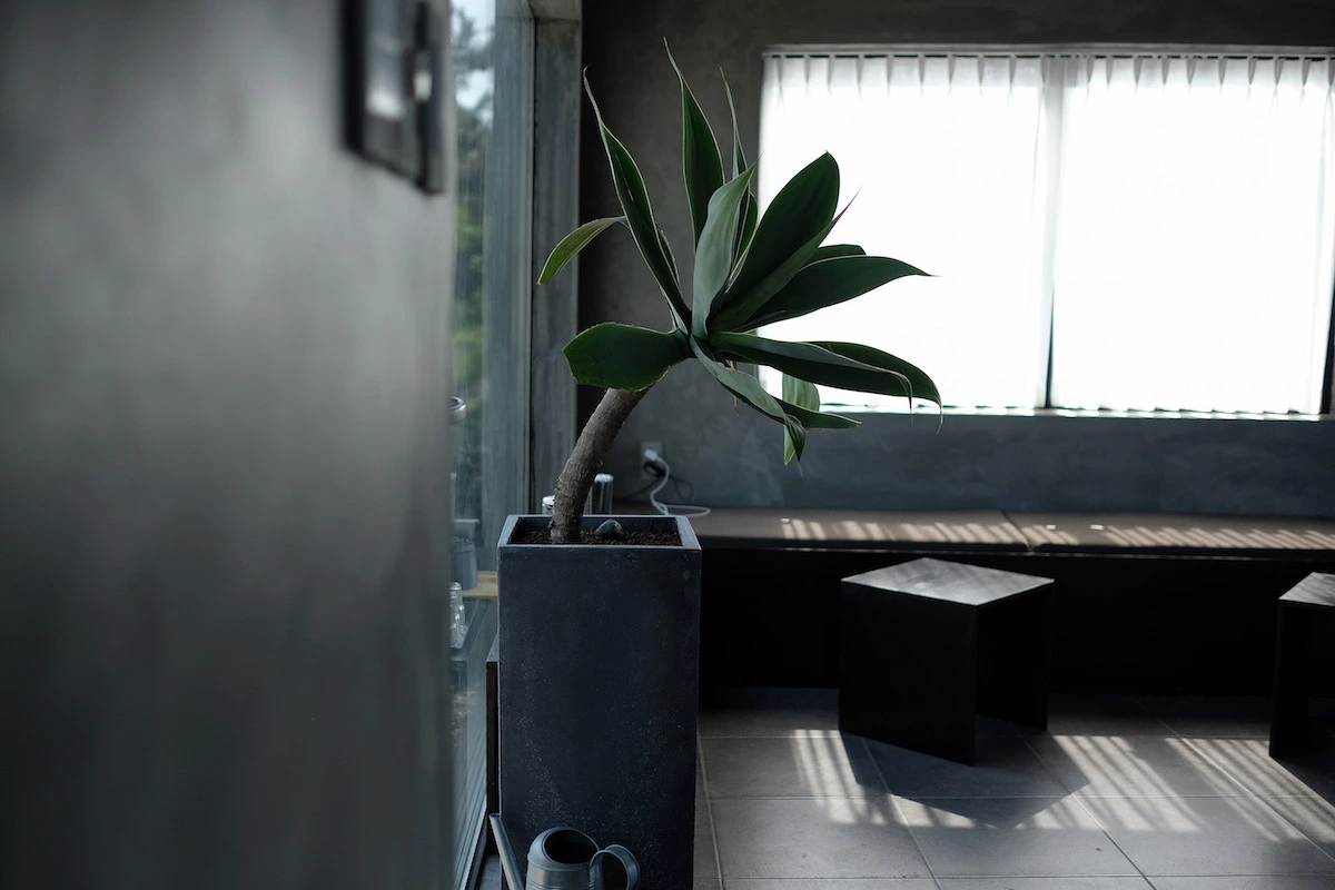 토투가 - 25.JPG