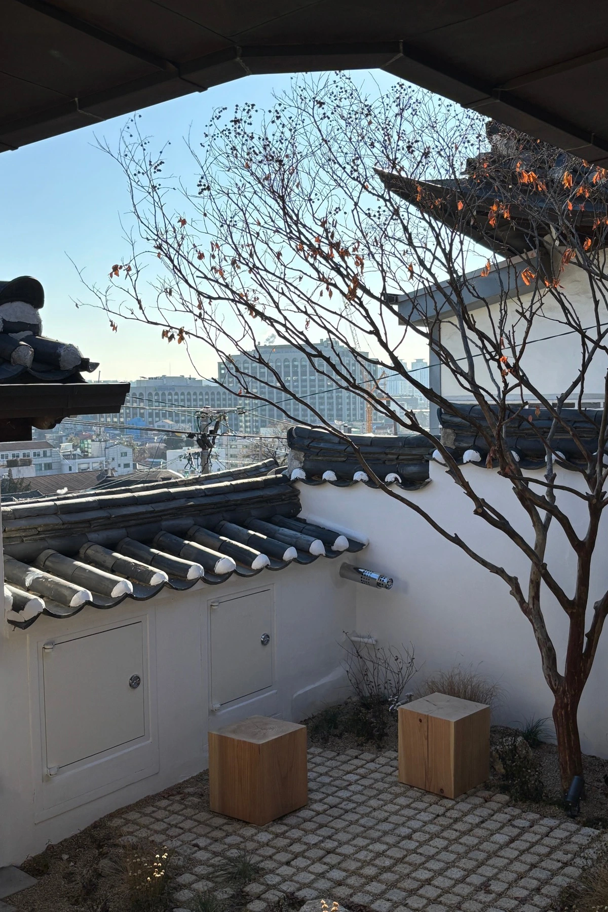 IMG_9161 복사본.JPG