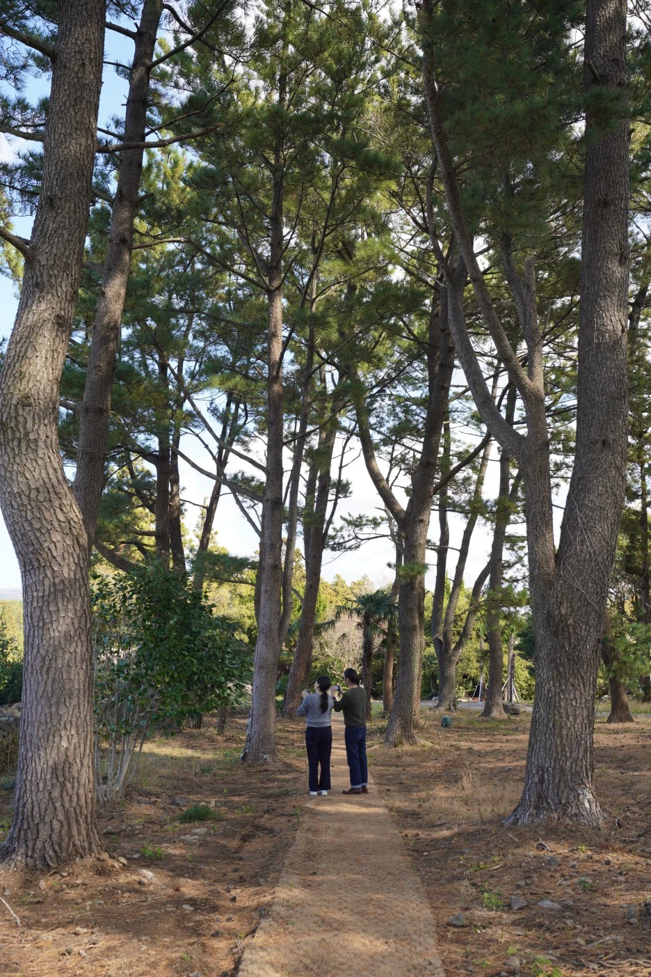 DSC09384.jpg?type=w1