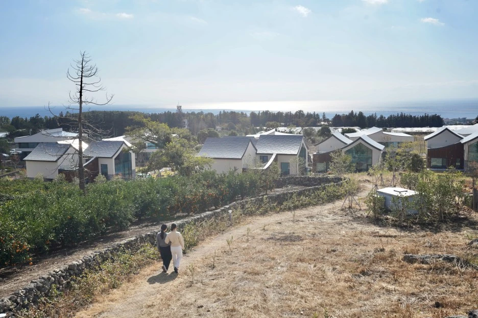 DSC09437.jpg?type=w1