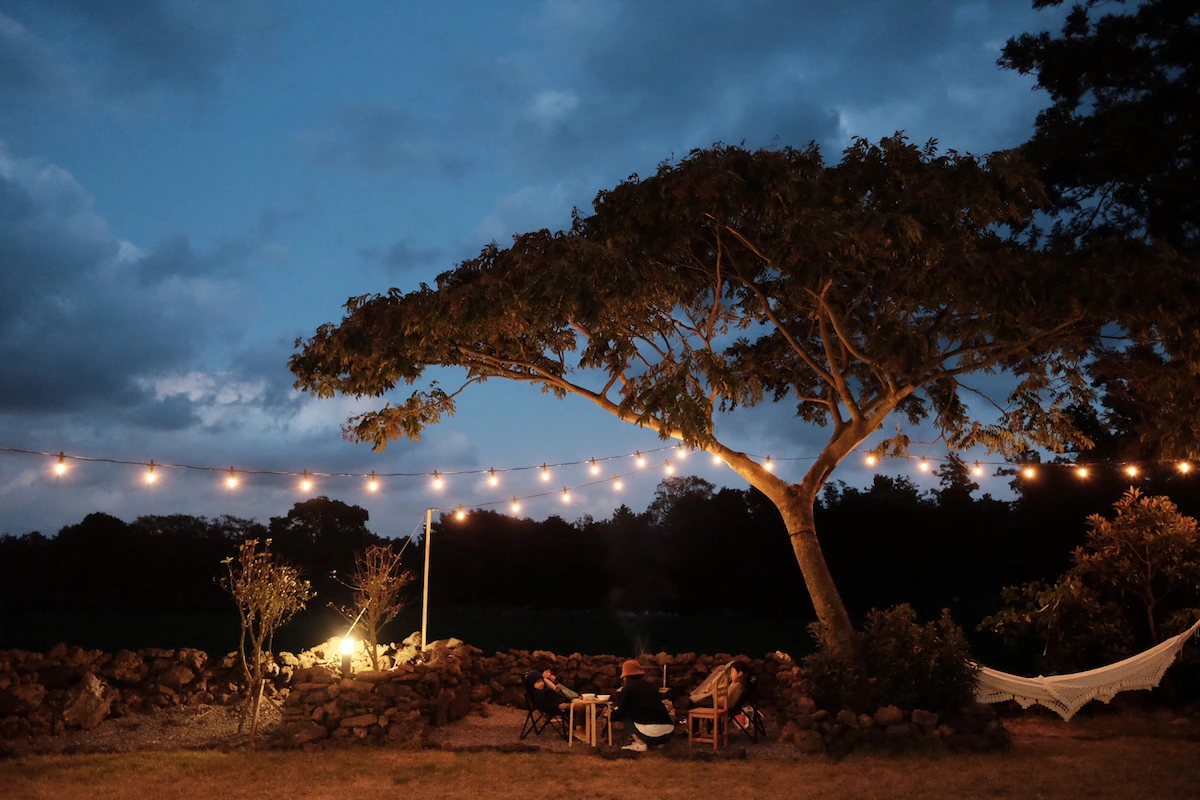 twospringbear -36.jpeg