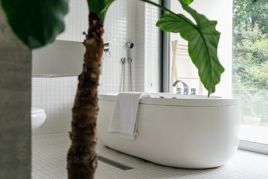 DSCF0277.jpg?type=w1