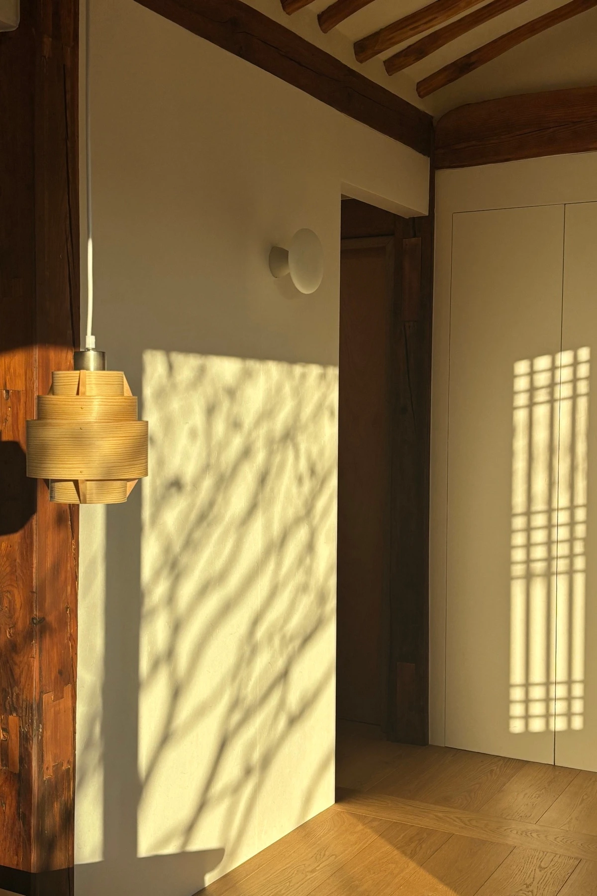 IMG_9094 복사본.JPG