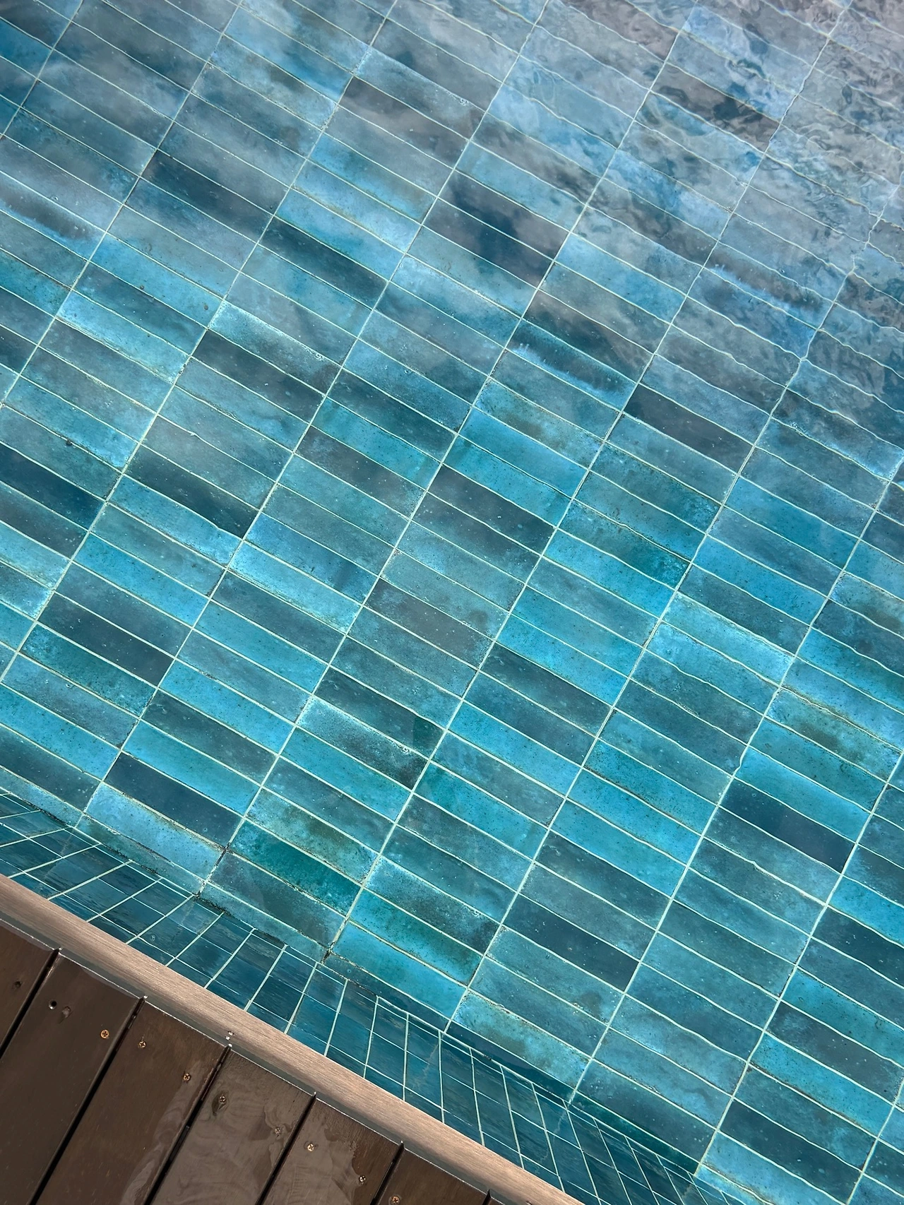 IMG_6145 복사본.JPG