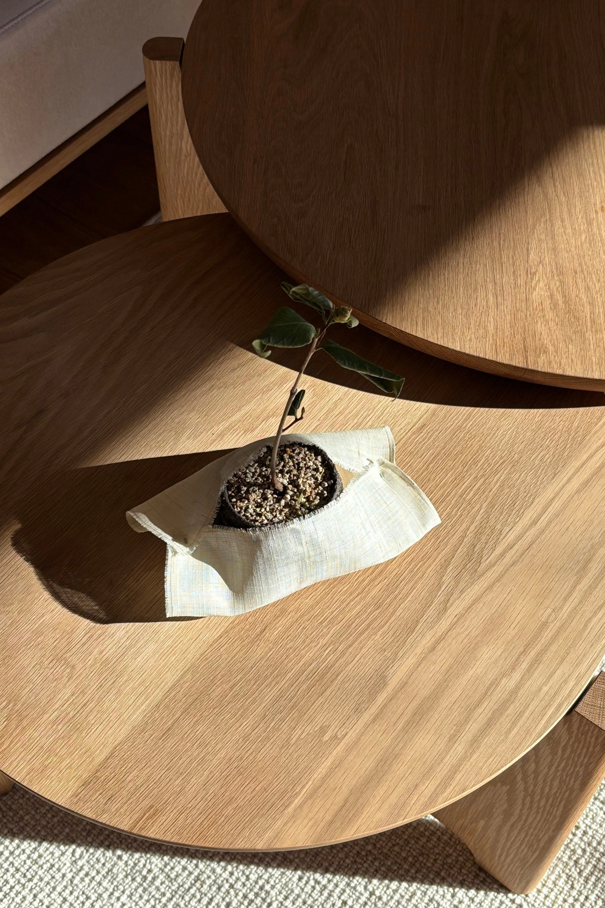 IMG_9158 복사본.JPG