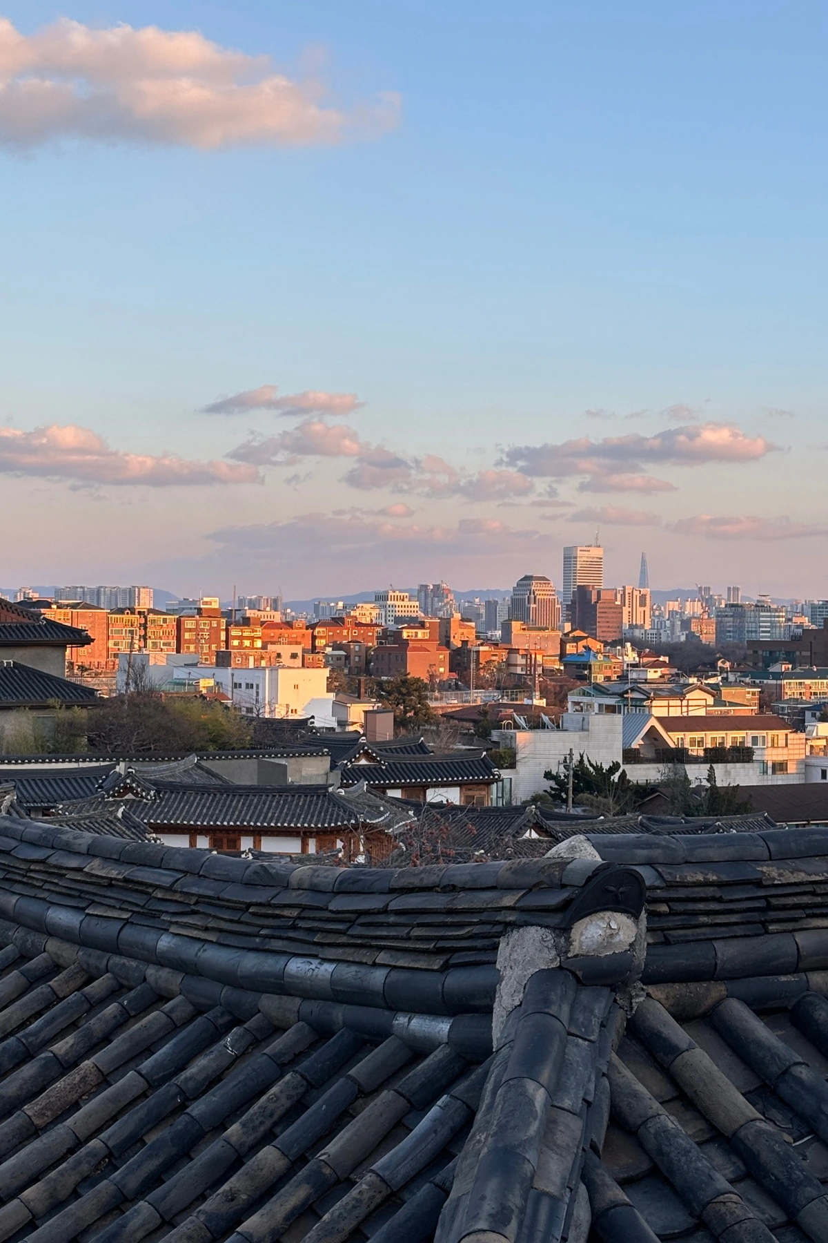 IMG_9057 복사본.JPG