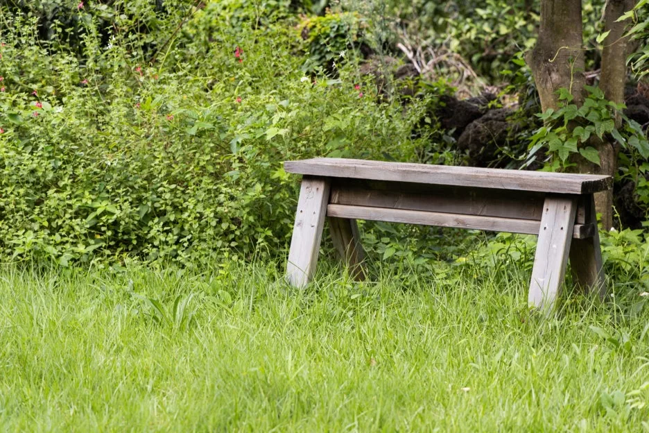 (%EA%B3%A0%EC%84%9C%EC%9A%B0)_%EC%8A%A4%ED%85%8C%EC%9D%B4%ED%8F%B4%EB%A6%AC%EC%98%A4_-_%EB%B0%A4%ED%8E%B8%EC%A7%80_(3)_%EB%B3%B5%EC%82%AC%EB%B3%B8.jpg?type=w1