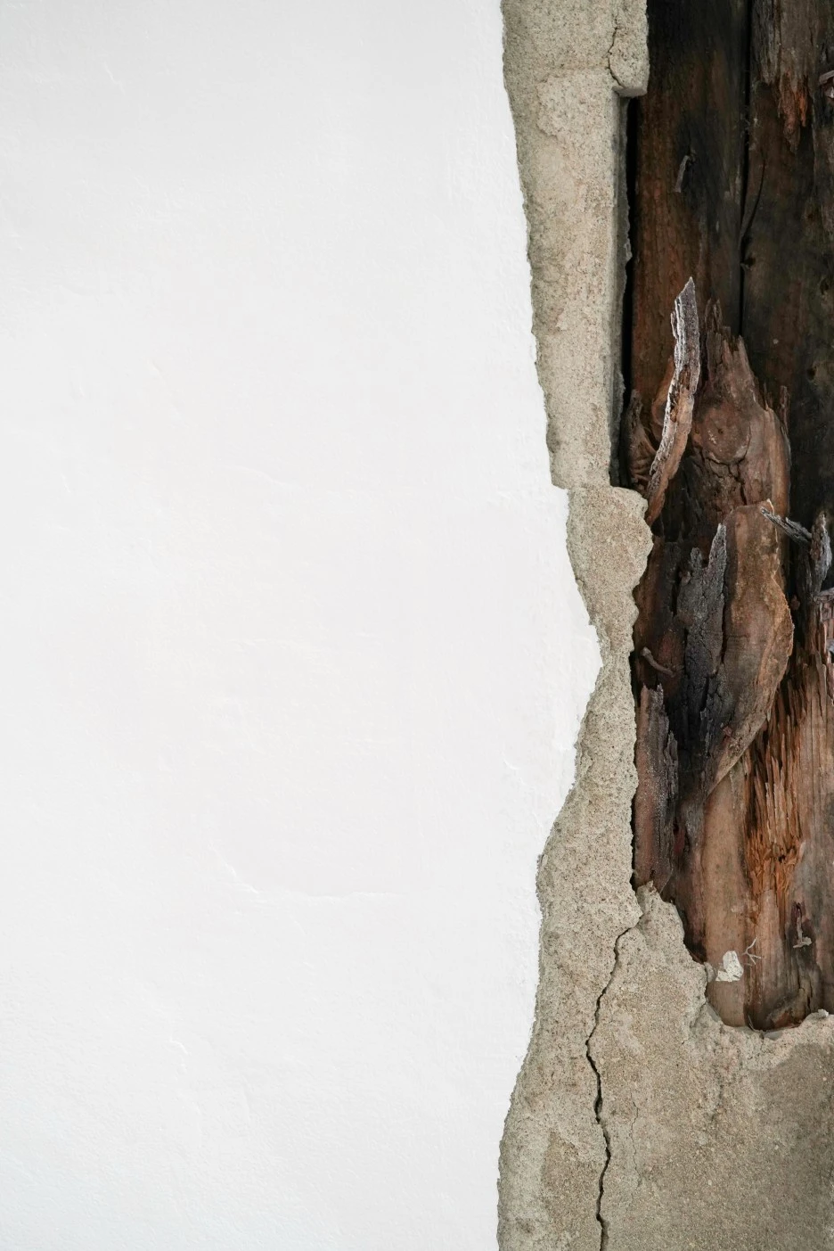 IMG_9958.JPG?type=w1