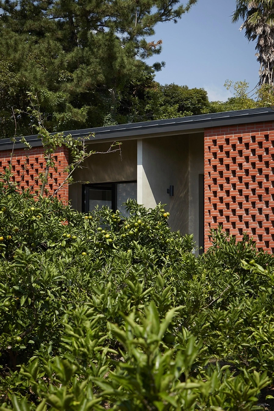 다운로드 (3).jpeg