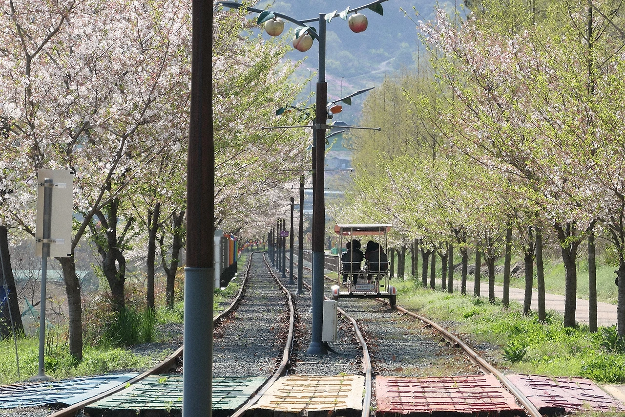 먹집 운집 4.JPG