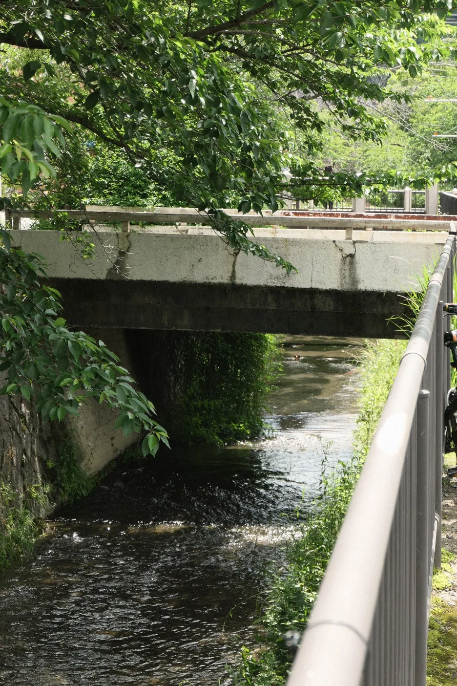 omo5_kyotosanjo_11.JPG?type=w1