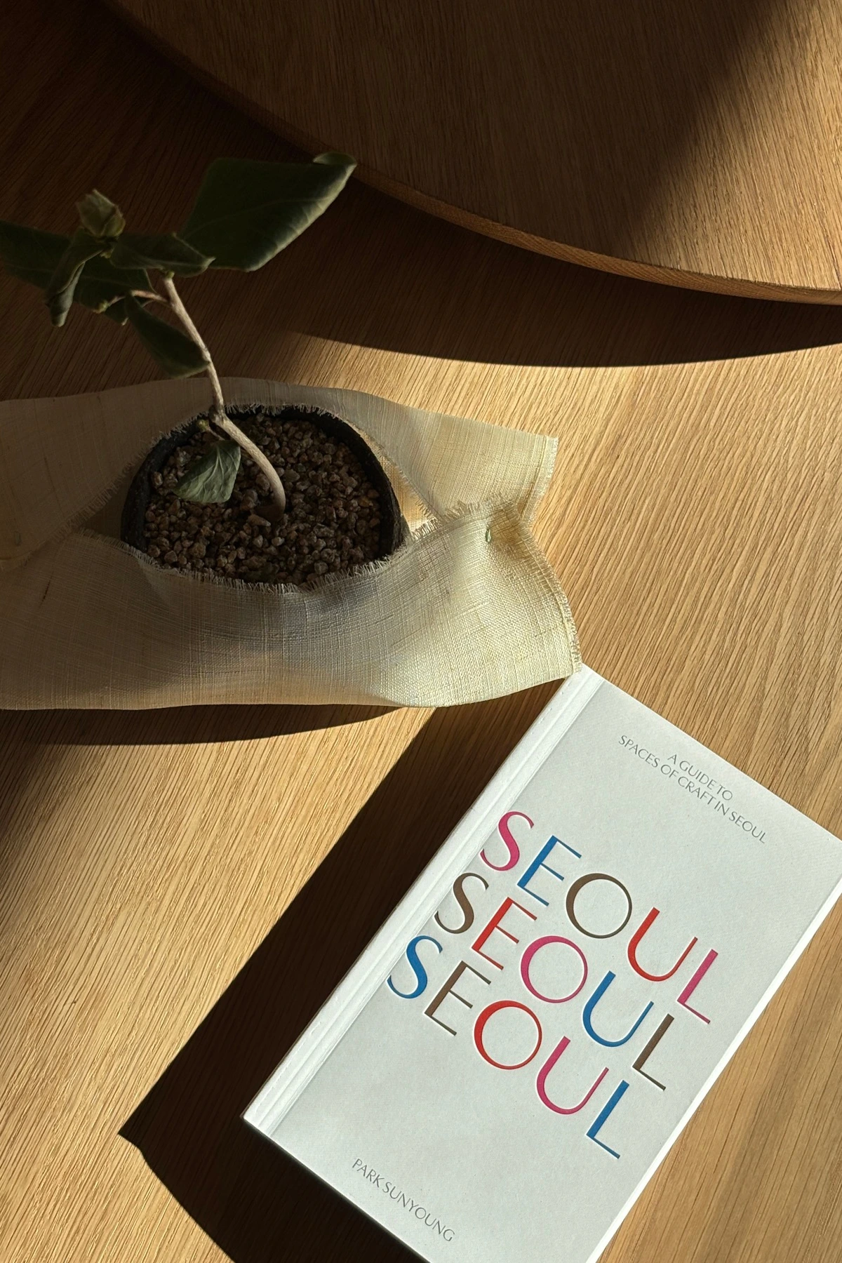 IMG_9164 복사본.JPG