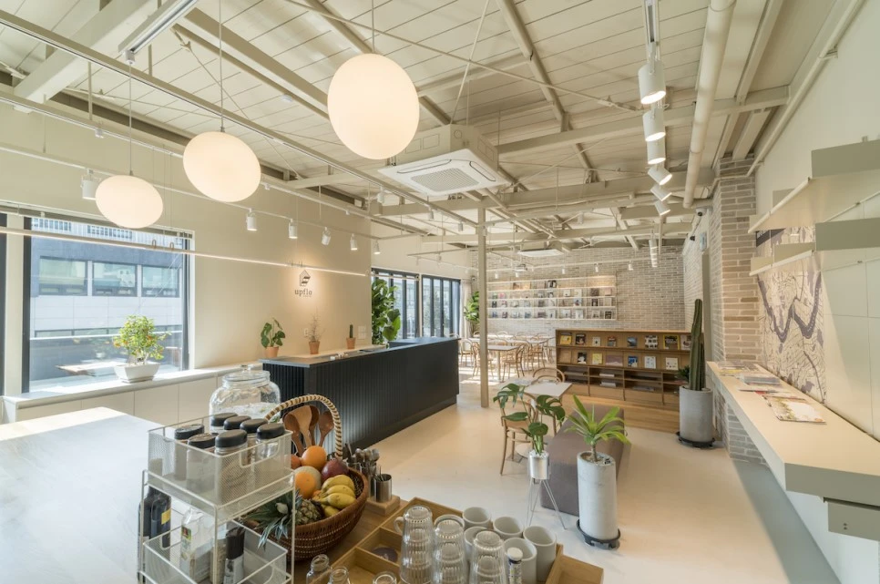 upflo_09.jpg?type=w966