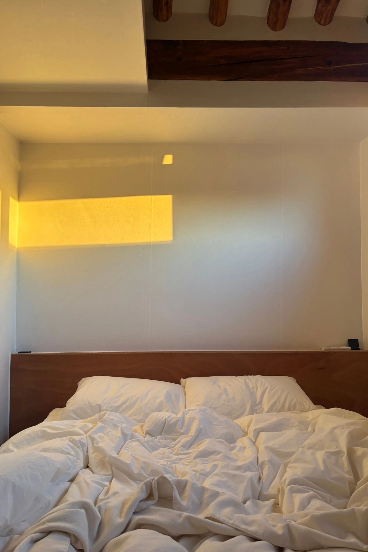 IMG_9085 복사본.JPG