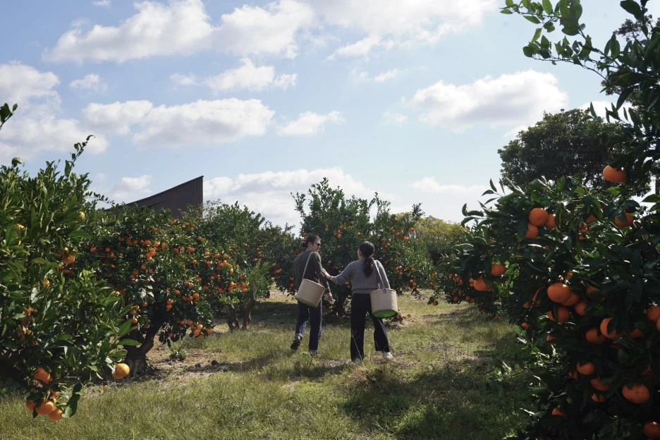 DSC09291.jpg?type=w1