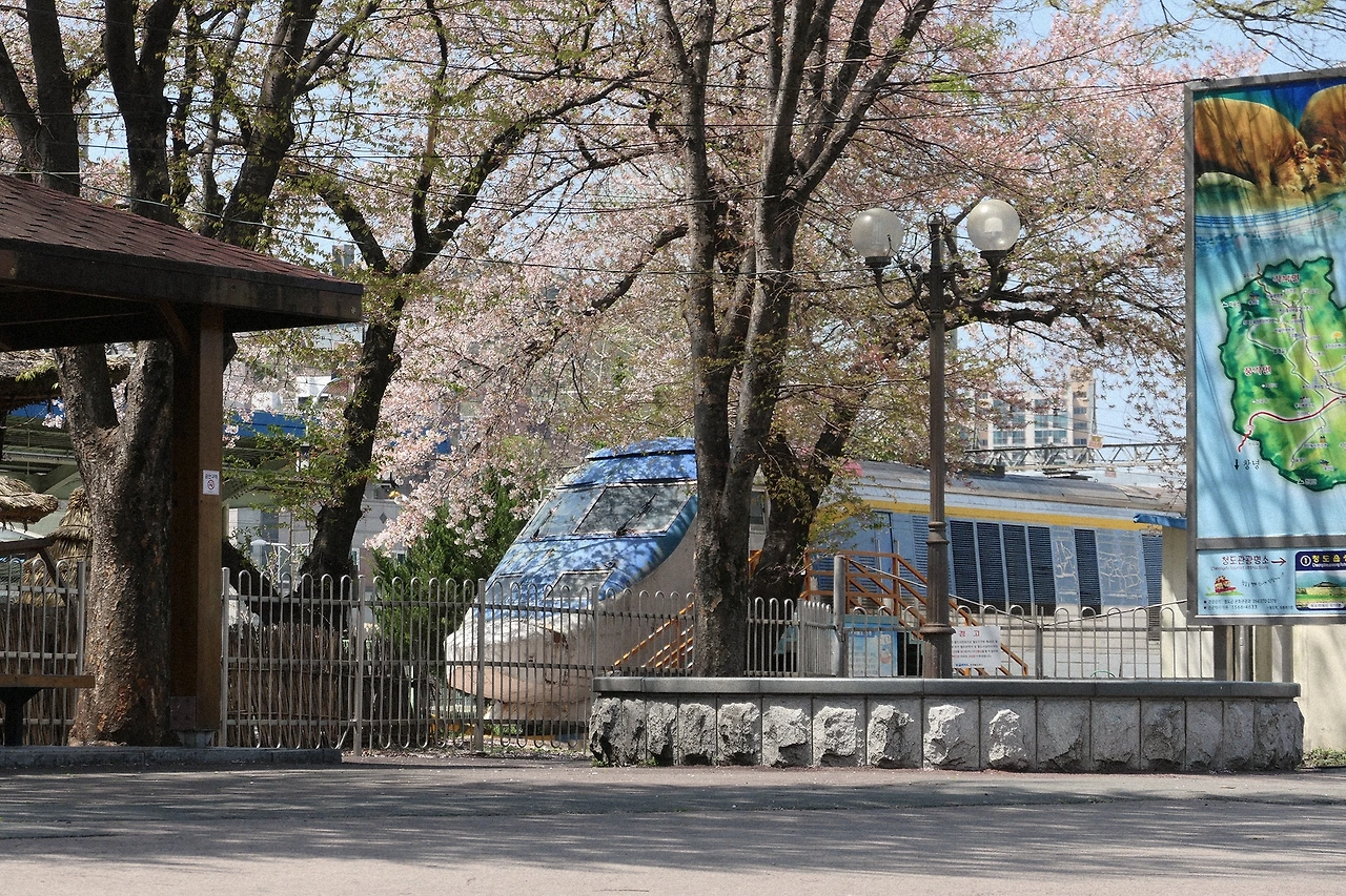 먹집 운집 2.JPG