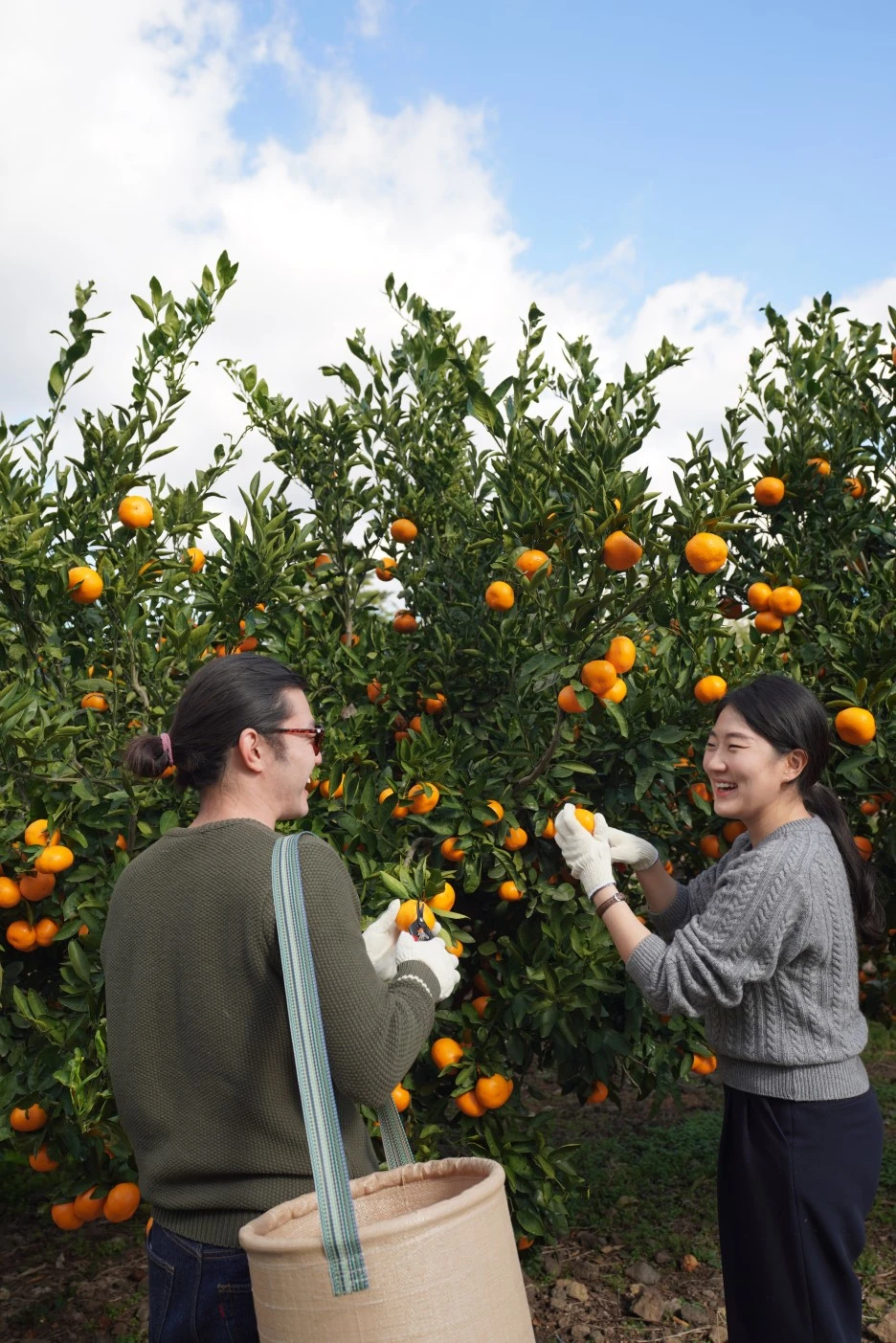 DSC09197.JPG?type=w1