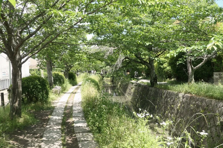 omo5_kyotosanjo_13.JPG?type=w1