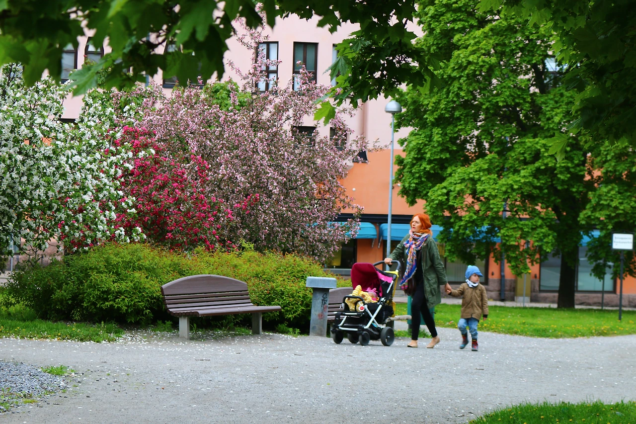 68 - 투르쿠 아침3.JPG