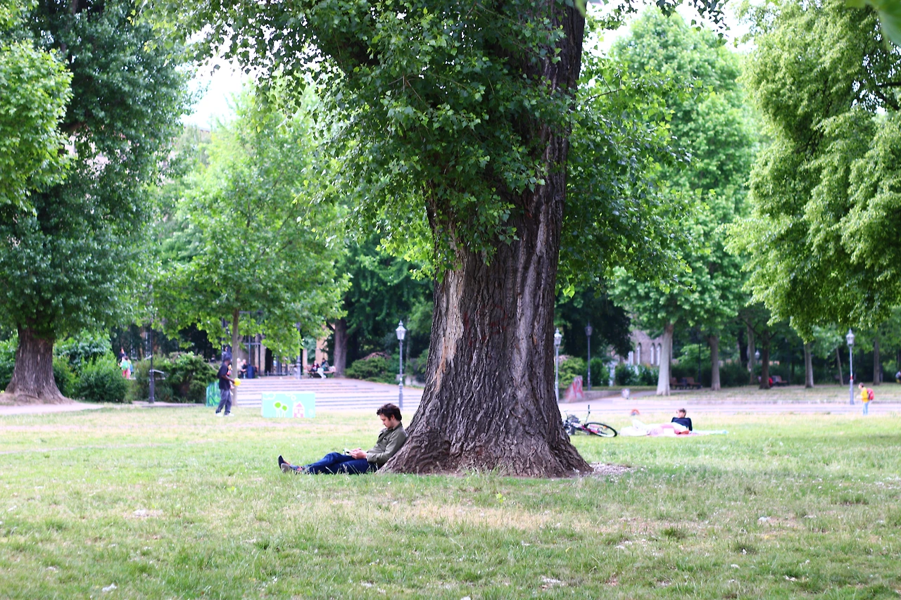 33 베를린 공원.JPG