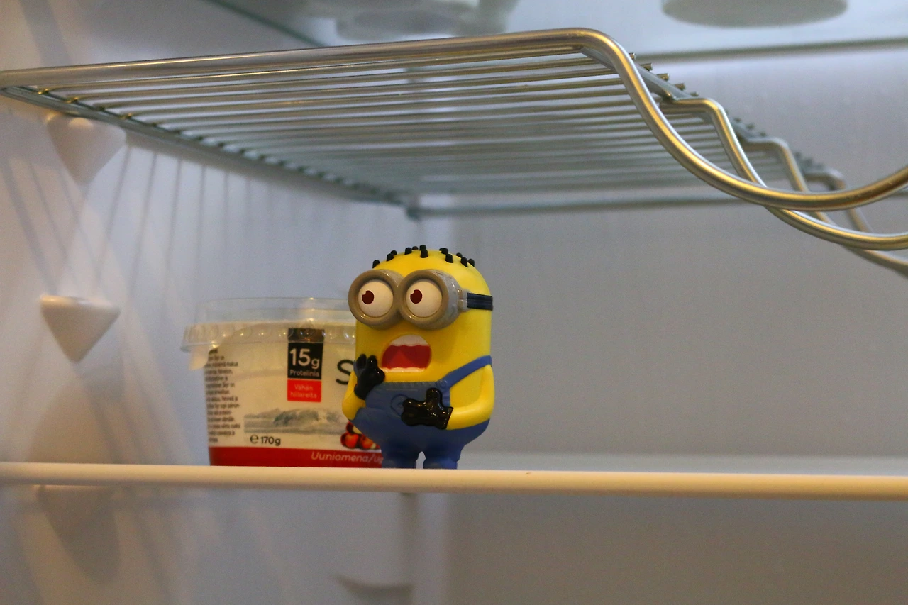 96 - 유쾌한 냉장고.JPG