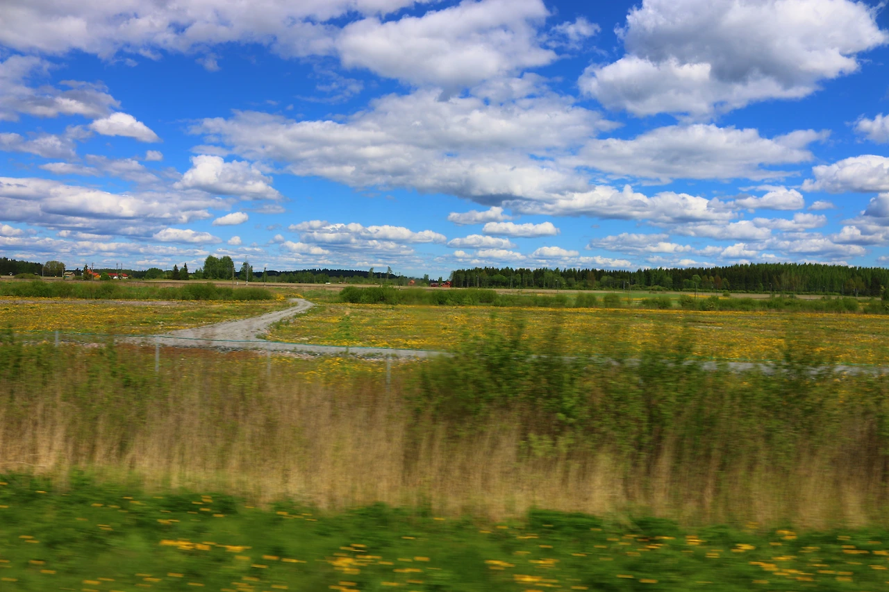 13- 버스타고 탐페레 가는 풍경.JPG