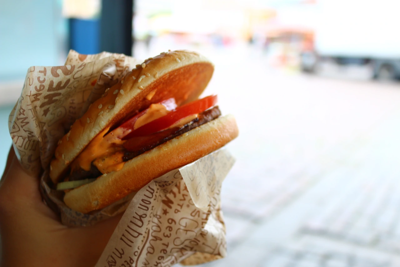 73 - 헤르스부르거3.JPG