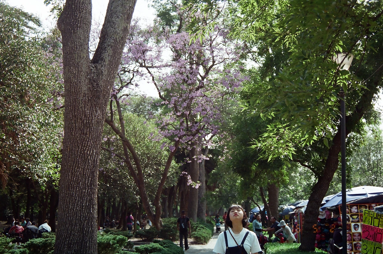 멕시코시티의 차풀테펙공원.JPG