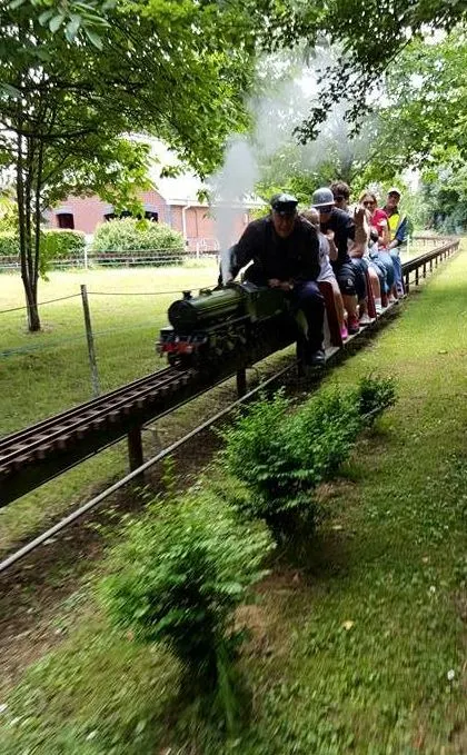 Garden Rail4_20150622.JPG