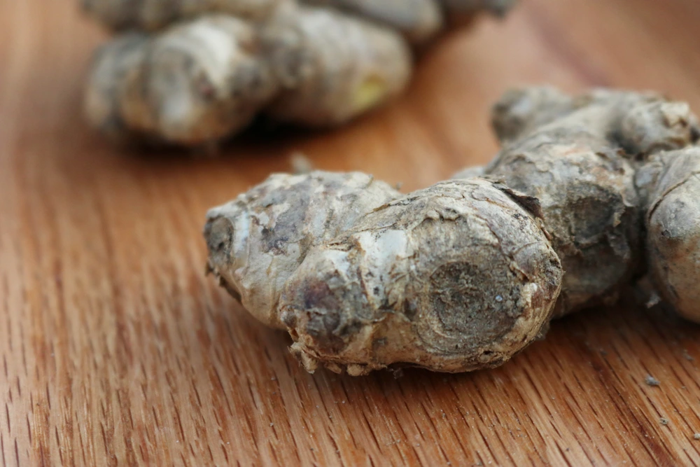 KakaoTalk_Photo_2021-08-10-09-46-07 003.jpeg