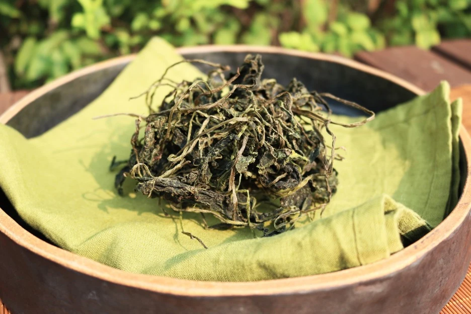 KakaoTalk_20210809_100302327_03.jpg?type=w1