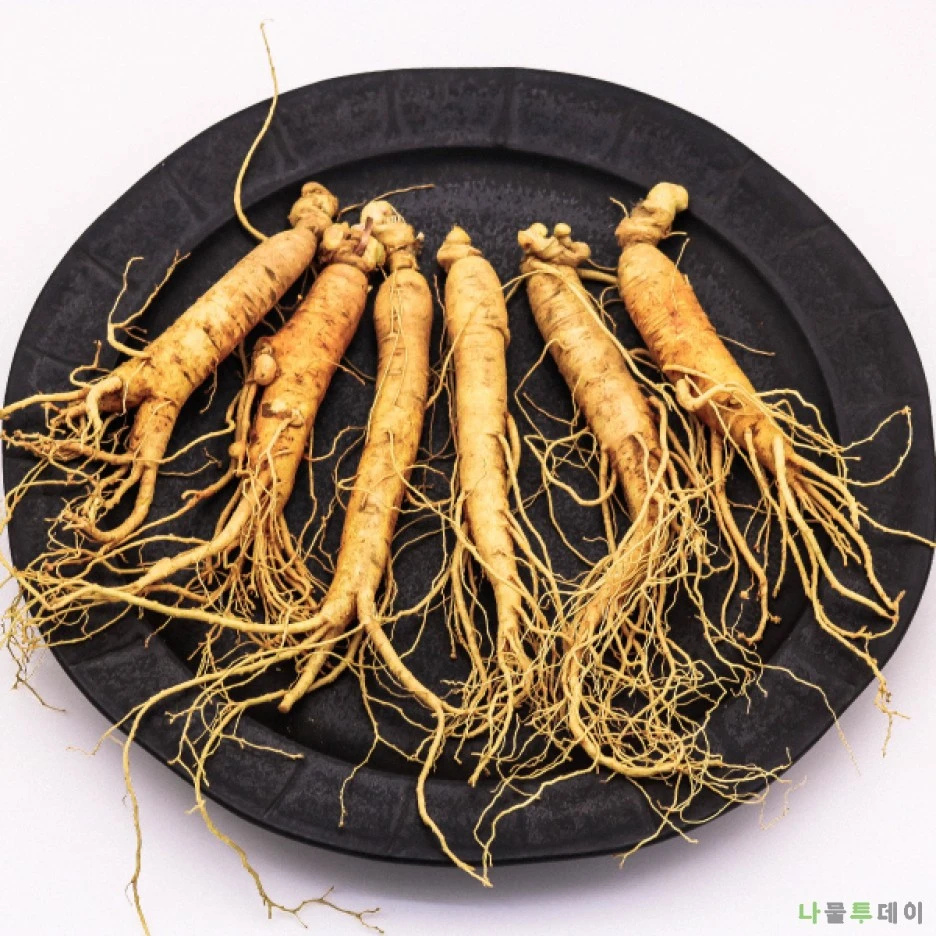 KakaoTalk_20210720_112854235_02.jpg?type=w1