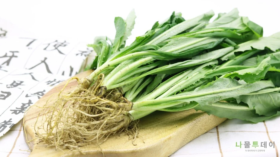 KakaoTalk_20210716_110423508_01.jpg?type=w1