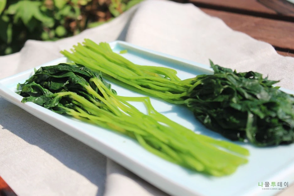 KakaoTalk_20210730_142752926.jpg?type=w1