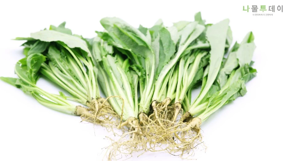 KakaoTalk_20210716_110423508_02.jpg?type=w1