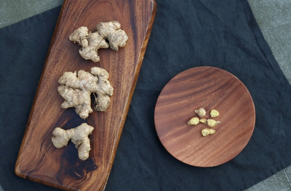 KakaoTalk_Photo_2021-08-10-09-46-07 002.jpeg