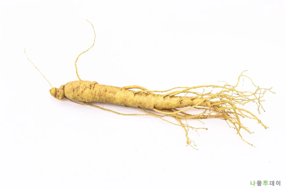 KakaoTalk_20210720_112854235_01.jpg?type=w1